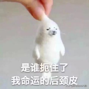 ​男女生学会这15个聊天小技巧，真的超超超级加分