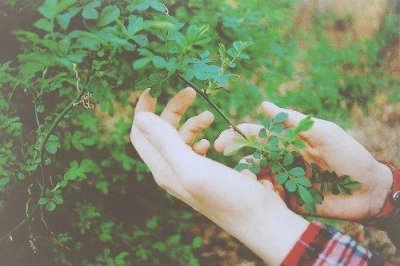 ​春天赏花的优美句子