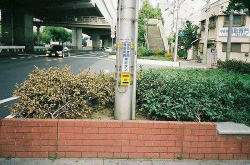 2025年最火的微信个性签名