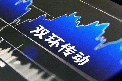​双环传动-创新驱动的齿轮行业领军者