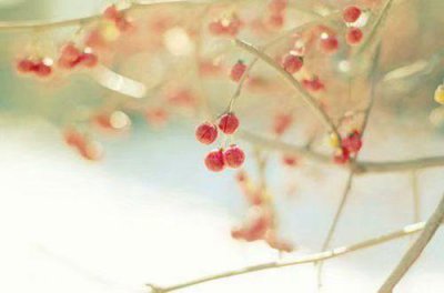 ​感谢恩师的话 感谢恩师的唯美句子(精选20句)