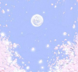 ​描写母亲背影的句子13句