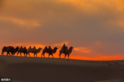 ​丝绸之路上的宝库，中国旅游标志“马踏飞燕”，就藏在这里