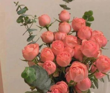 ​留言板上的哲理句子