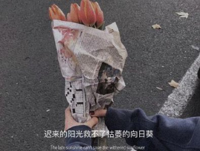 ​最优美的英语句子