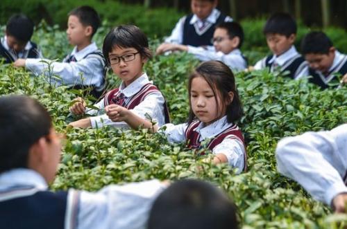 伤心绝顶的伤感句子25句