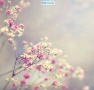 ​友情的句子摘录39条