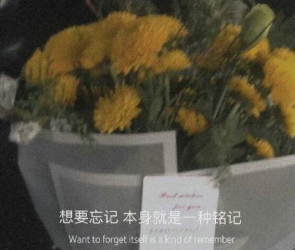 想你想得睡不着的句子 想你的夜无法入睡句子