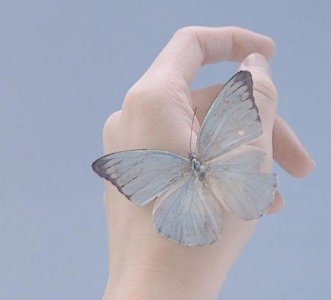 ​想你想得睡不着的句子 想你的夜无法入睡句子