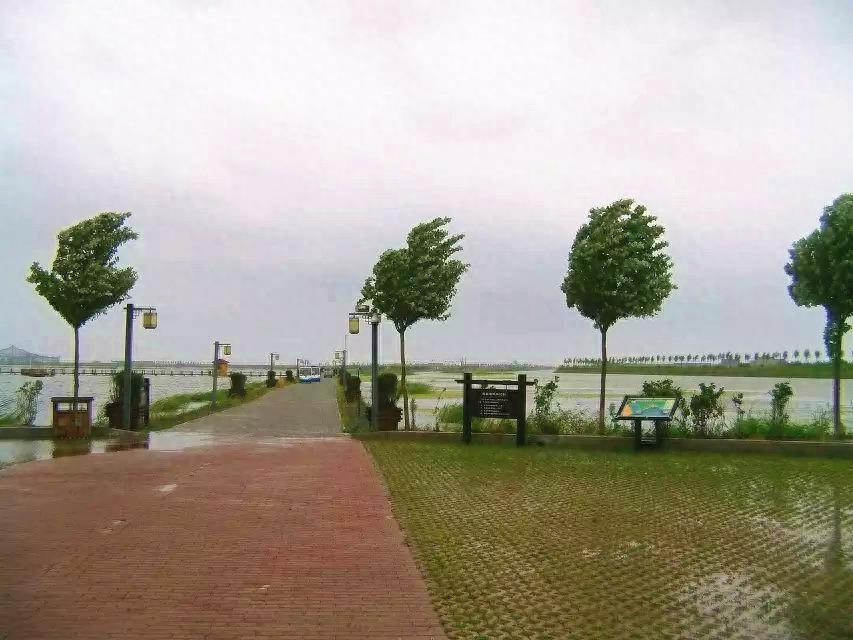 旅游好去处——呼兰河口湿地公园