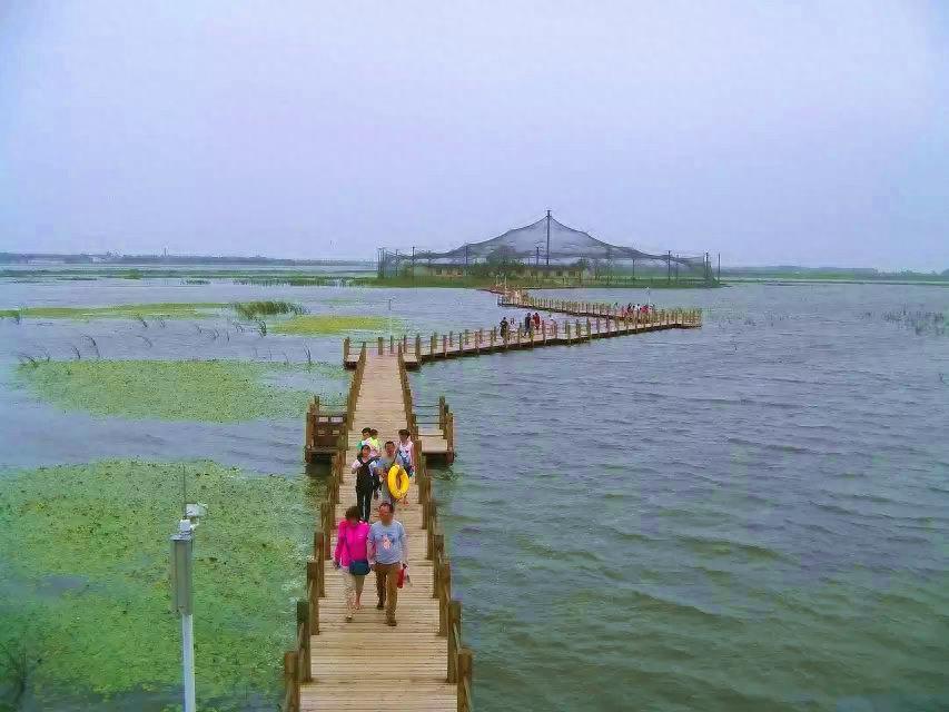 旅游好去处——呼兰河口湿地公园