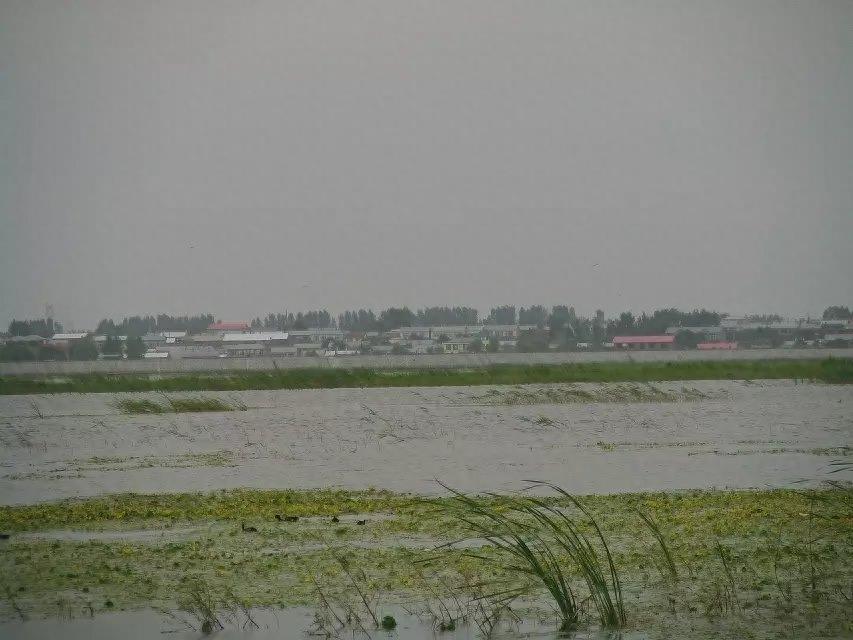 旅游好去处——呼兰河口湿地公园