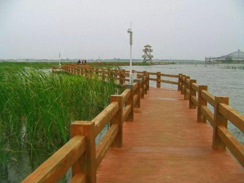 旅游好去处——呼兰河口湿地公园