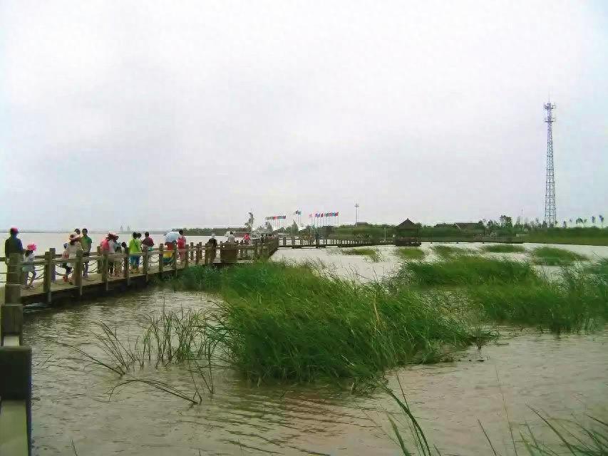 旅游好去处——呼兰河口湿地公园