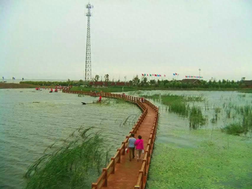 旅游好去处——呼兰河口湿地公园