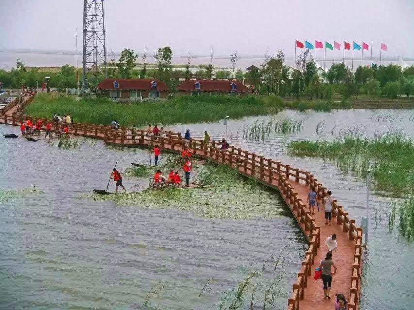 旅游好去处——呼兰河口湿地公园