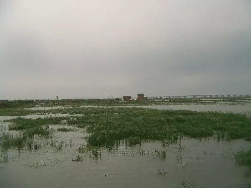 旅游好去处——呼兰河口湿地公园