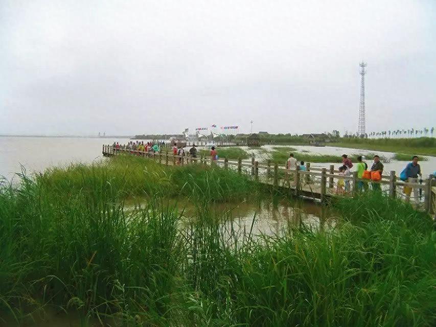 旅游好去处——呼兰河口湿地公园