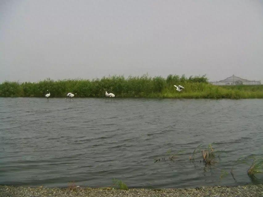 旅游好去处——呼兰河口湿地公园