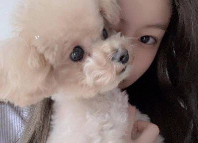 ​精选10条焰火的求婚情话（烟花求婚）