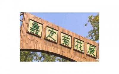 ​和心跳有关的情话(关于心跳的土味情话)