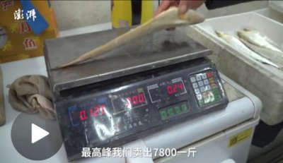 ​最贵时7800元一斤！长江刀鱼为啥能卖那么贵？