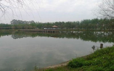 ​南宁一个可以吃、住、玩、学、练、农的地方——南宁乡村大世界