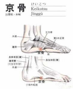 ​中医京骨穴，人称腰部止痛穴，治疗腰背部疼痛的要穴
