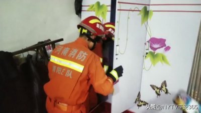 ​黄鼠狼“做客”居民家  看南阳消防如何生擒