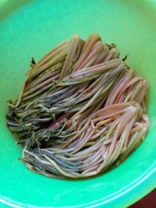 ​安康美食浆水菜