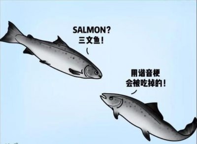 ​经常看到网友说吃三文鱼，到底是什么鱼