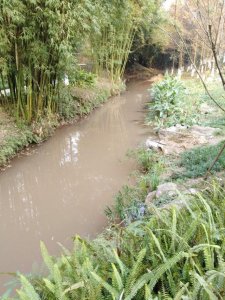 ​走遍重庆之九曲河湿地公园