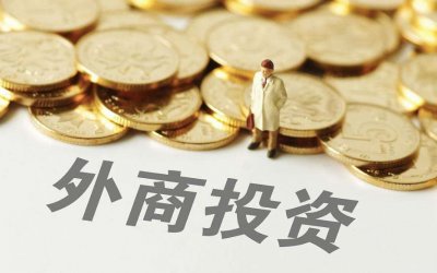 ​什么是在中国的外商独资企业？