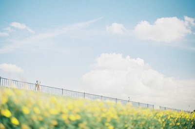 ​父亲节短信创意100句