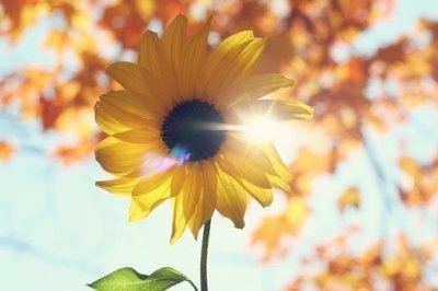 ​发给客户的端午节短信97句