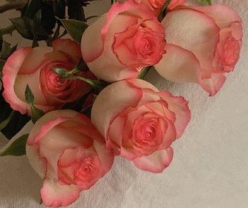 ​重阳节祝福语老人 重阳节祝福语10字(精选92句)