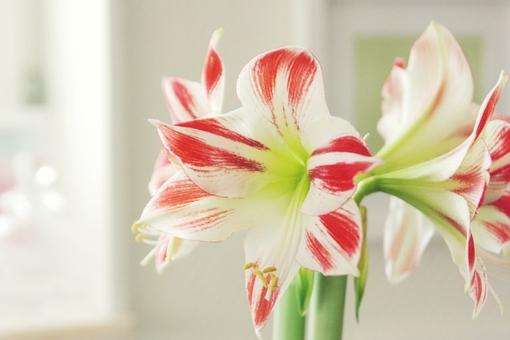 给老人写祝福语80句