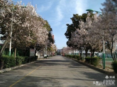 ​新密一高举行春季学期开学典礼