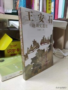 ​重识临川先生