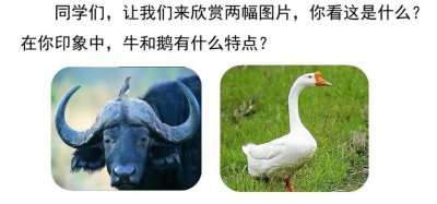 ​四年级语文上册十八课《牛和鹅》课文笔记，自主预习的好帮手