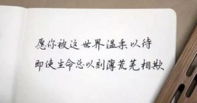 ​简单的花的优美语句摘录