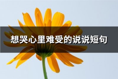 ​想哭心里难受的说说短句(共162句)