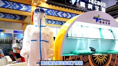 ​东博会：20年辉煌历程，共创未来经贸盛会