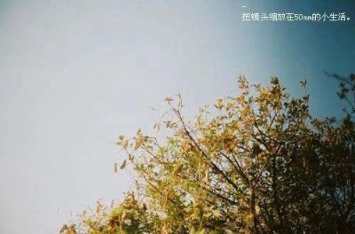 ​妇女节发朋友圈的句子经典语录(精选76句)