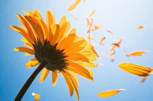 关于元宵节的抖音祝福文案(元宵节祝福语高级文案)