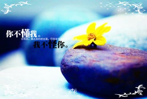 唯美的句子说说心情