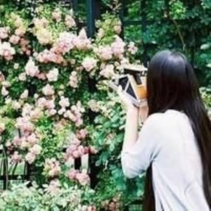 ​qq留言板七夕留言句子（最美七夕情人节空间留言）