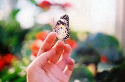 ​形容秋天的优美句子节选