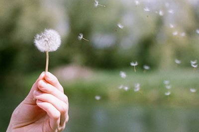 ​生日宴会的祝福语82句