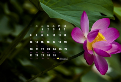 ​抖音最火的元宵节祝福语